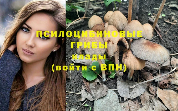 спайс Новодвинск