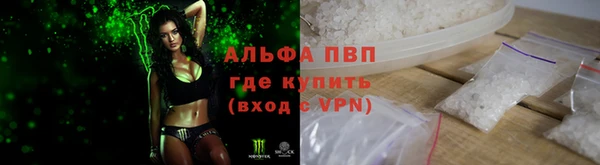стафф Новокубанск
