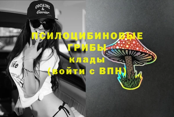 эйфоретик Абинск