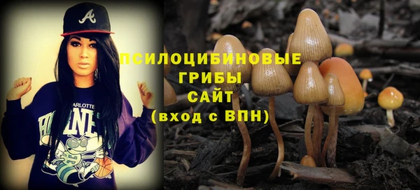 эйфоретик Абинск
