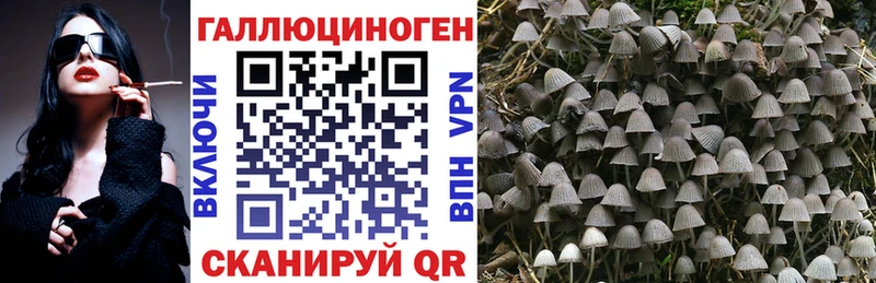 наркошоп Юрюзань Псилоцибиновые грибы MAGIC MUSHROOMS